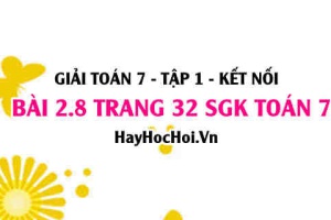 Giải bài 2.8 trang 32 Toán 7 Tập 1 SGK Kết nối tri thức